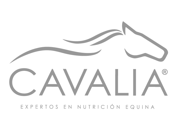 logo20_Mesa de trabajo 1